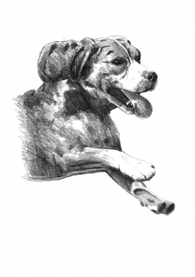 Fröhliche Hundeskizze von Kulik
