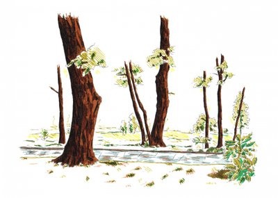 Illustrierter Waldweg von Kulik