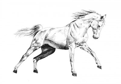 Majestätischer Pferdegalopp von Kulik