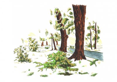 Ruhige Winterwälder von Kulik