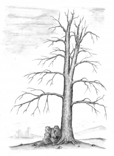 Kahler Winterbaum Schloss von Kulik