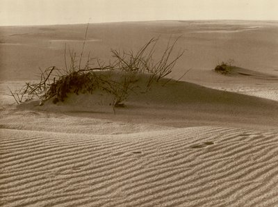 Wanderdüne auf der Kurischen Nehrung nördlich von Rossitten von Kurt Hielscher