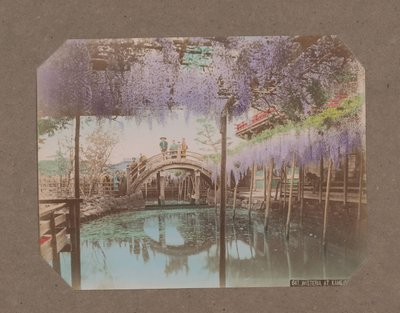 Menschen auf einer Brücke, im Vordergrund blühender Blauregen, in Kameido, Tokio, Japan von Kusakabe Kimbei