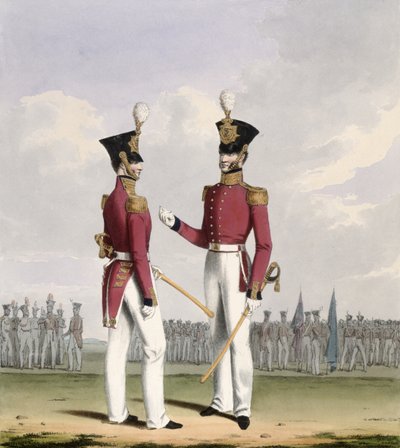 Feldoffiziere der Royal Marines, Platte 2 aus 