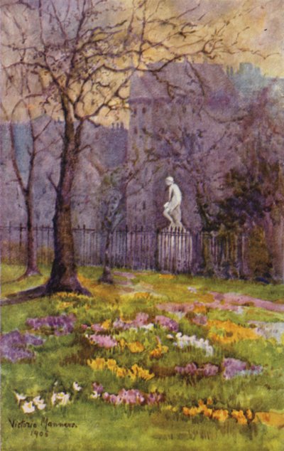 Krokusse im frühen Frühling, St James