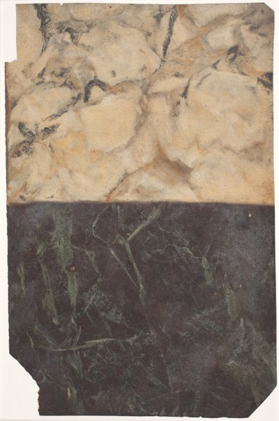 Entwurf für zwei verschiedene Arten der Marmorierung, eine schwarz-blaue und eine gold-weiße von Lambert van Haven
