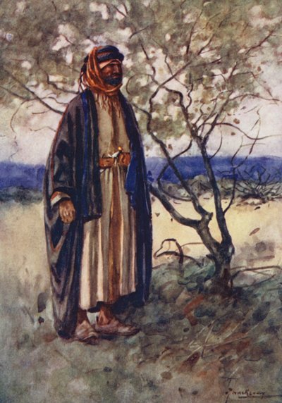 Menschen Ägyptens: Beduinen-Araber, Bedawi von Lance Thackeray