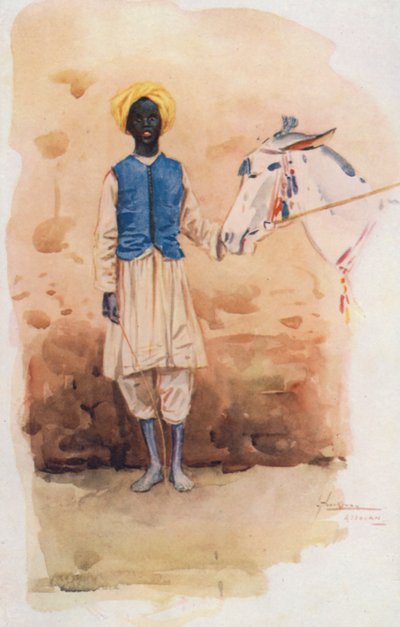 Menschen in Ägypten: Eseljunge, Hammar von Lance Thackeray