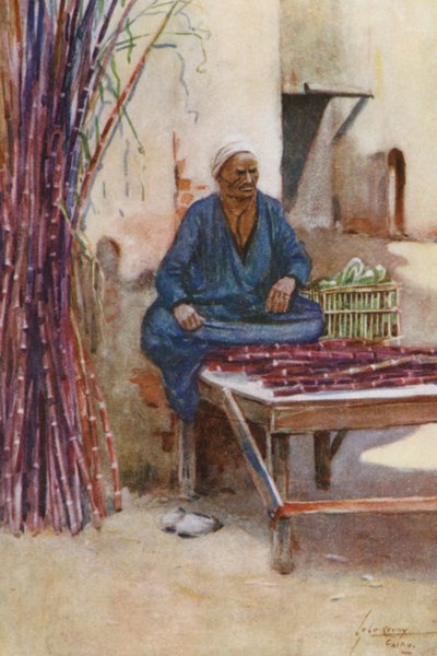 Menschen aus Ägypten: Zuckerrohrverkäufer, Baia Kasseb von Lance Thackeray