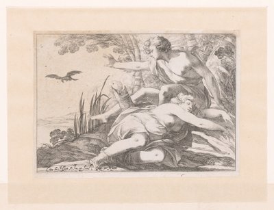 Apollo und Coronis von Laurent de La Hire