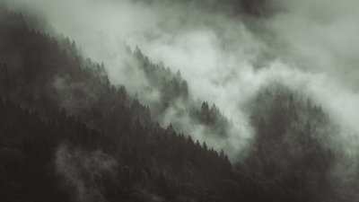 Verwirrt von Lee Cooper