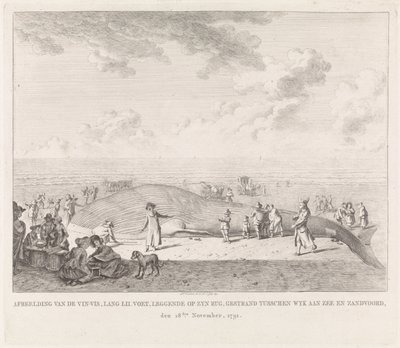Finnwal am Strand von Zandvoort angespült von Leendert Overbeek