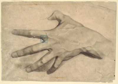 Zeichnung, Studie einer Hand von Leon Dabo