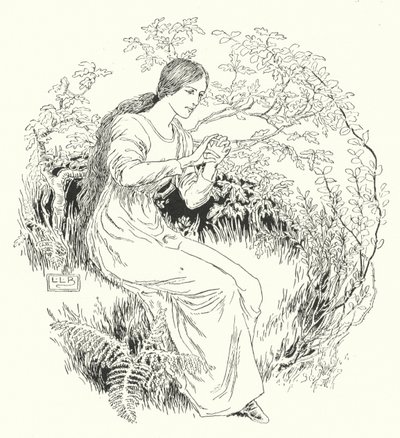 Ich ging in den Wald und holte es von Leonard Leslie Brooke