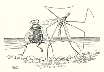 Der Weberknecht und die Fliege von Leonard Leslie Brooke