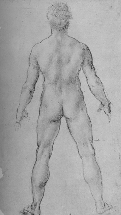 Ein nackter Mann von hinten gesehen, ca. 1480 von Leonardo da Vinci