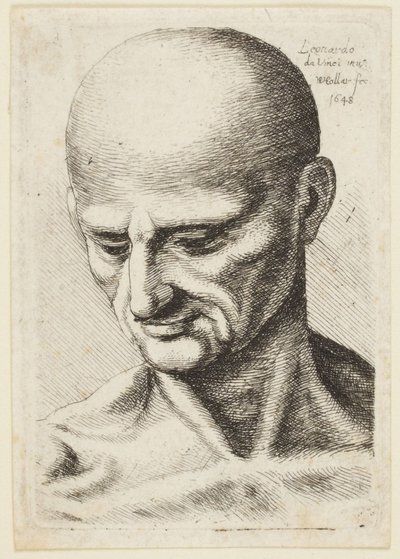 Kahlköpfiger Mann von Leonardo da Vinci