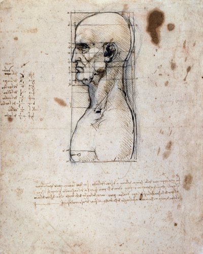 Büste eines Mannes im Profil mit Maßen und Notizen von Leonardo da Vinci