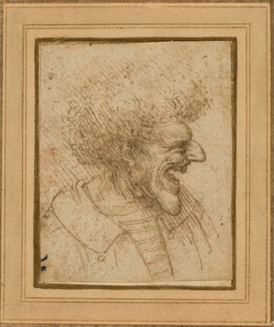 Karikatur eines Mannes mit buschigem Haar von Leonardo da Vinci