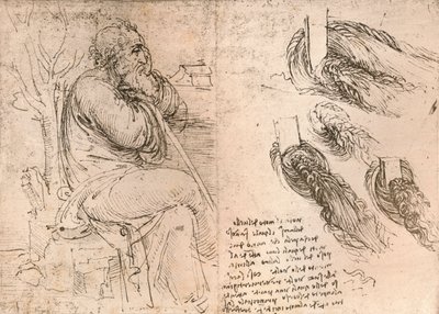 Zeichnung zur Darstellung von herabfallendem lockigem Haar, ca. 1472-ca. 1519 1883 von Leonardo da Vinci