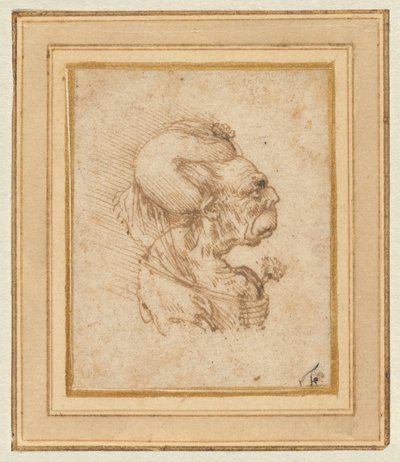 Grotesker Kopf einer alten Frau von Leonardo da Vinci