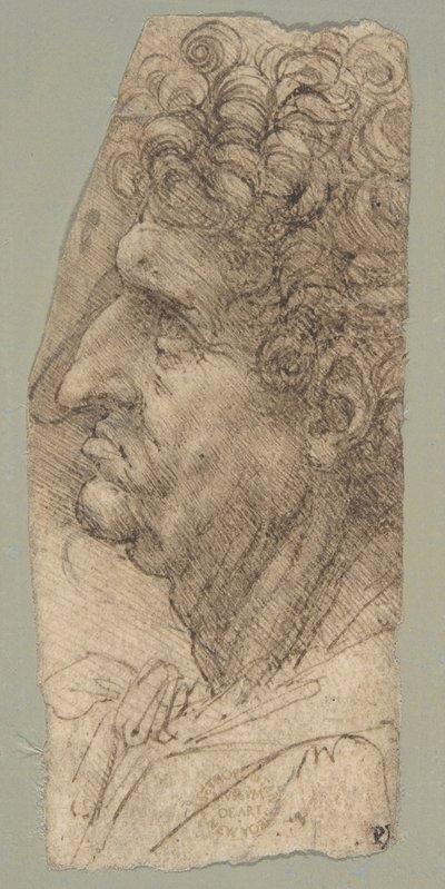 Kopf eines Mannes im Profil nach links von Leonardo da Vinci