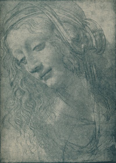Kopf einer Jungfrau von Leonardo da Vinci