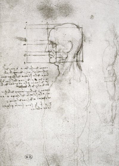 Kopf eines alten Mannes im Profil, Faksimilekopie von Leonardo da Vinci