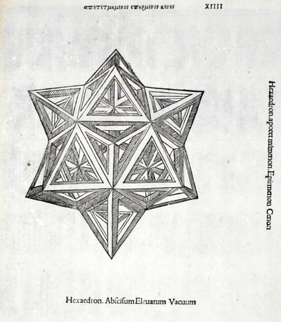 Hexacedron abscisum elevatum vacuum, Illustration aus 
