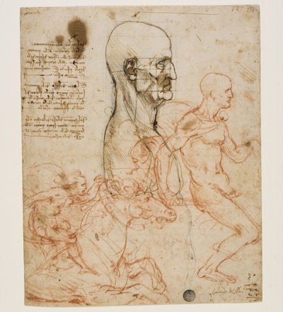 Menschliche Büste im Profil mit Proportionsstudie, ca. 1490-1499 von Leonardo da Vinci