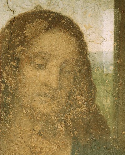 Kopf von Jesus von Leonardo da Vinci