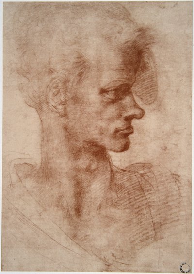 Karikaturporträt eines jungen Mannes von Leonardo da Vinci