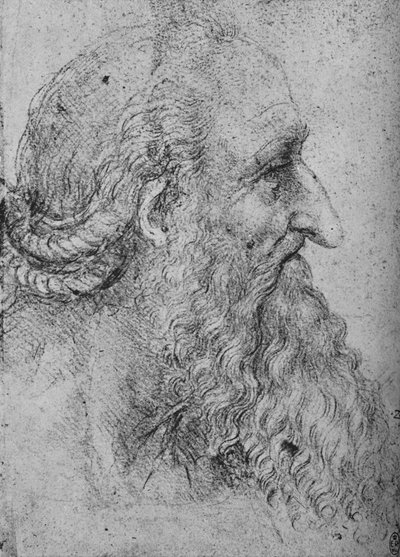 Profil eines alten, bärtigen Mannes nach rechts, ca. 1480, 1945 von Leonardo da Vinci