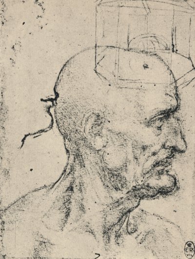 Profil eines glatzköpfigen Mannes nach rechts von Leonardo da Vinci