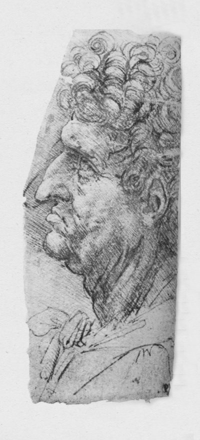 Profil eines älteren Mannes mit lockigem Haar nach links, ca. 1480, 1945 von Leonardo da Vinci