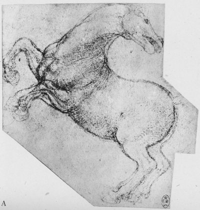 Studie eines sich aufbäumenden Pferdes, ca. 1480, 1945 von Leonardo da Vinci