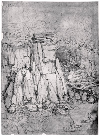 Studie einer felsigen Höhle mit Enten, 1482-1485, 1954 von Leonardo da Vinci