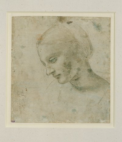 Kopf einer Frau fast im Profil von Leonardo da Vinci