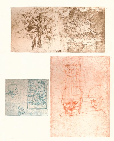 Drei Zeichnungen, um 1472-um 1519, 1883 von Leonardo da Vinci