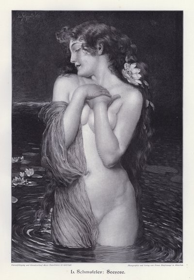 Seerose (Gravur) von Leopold Schmutzler