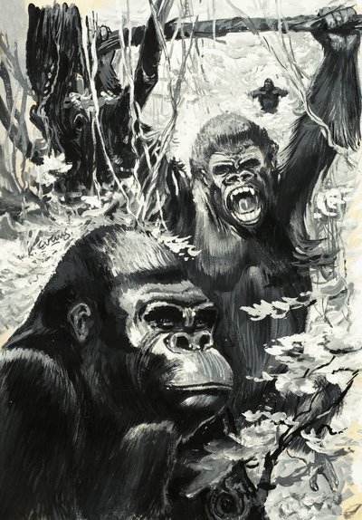 Gorillas von Leslie Field Evans