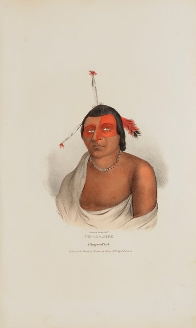 PE-A-JICK; Ein Chippewa-Häuptling, aus The Aboriginal Portfolio von Lewis, James Otto