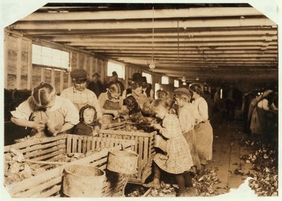 Rosy, 8 Jahre alt, arbeitet 14 Stunden am Tag als Austernöffnerin in der Dunbar Cannery, Louisiana, 1911 von Lewis Wickes Hine