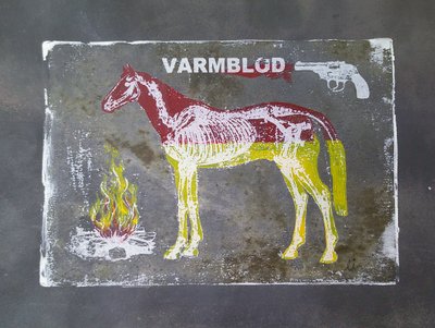 Warmblut-Pferdeanatomie von Li Gessbo