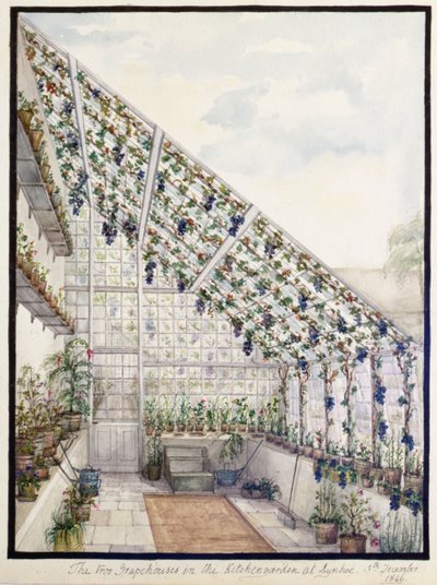 Die beiden Traubenhäuser im Küchengarten, Aynhoe von Lili Cartwright