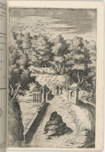 Die Begrüßung der Vögel (Il Saluto degli uccelli) [Tafel C] von Lino Moroni