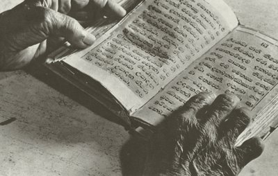 Die alten Gebote von Lionel Wendt