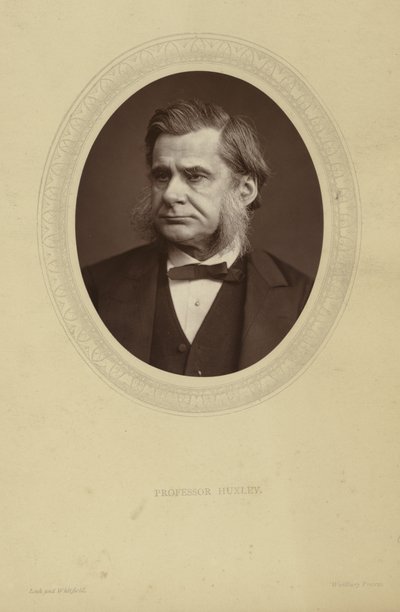 Porträt von Thomas Henry Huxley von Lock and Whitfield