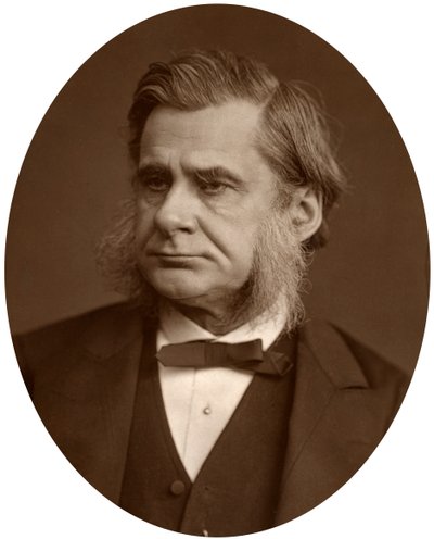 Professor Thomas Henry Huxley, 1880 von Lock and Whitfield