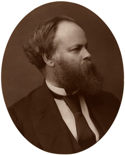 Samuel Plimsoll, Esq, MP, britischer liberaler Politiker und Sozialreformer, 1876 von Lock and Whitfield